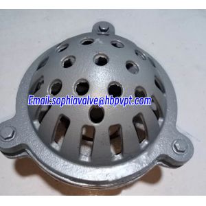 GG20 BS21 cast iron resilient seal foot valve