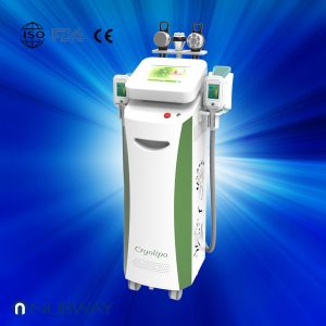 NUBWAY BEST SELLING!!! fat freezing cryolipolysis machine vertical cryolipolysis machine