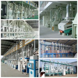 Hubei Wufeng Food Processing Machinery Co. Ltd.