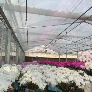 Double Layer Water Sprayer Controlled Illuminating Greenhouse for Planting