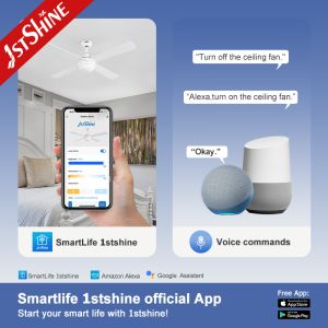 LED Ceiling Fan with Light and AC Motor Stylish Design Support Dimmer 4 MDF