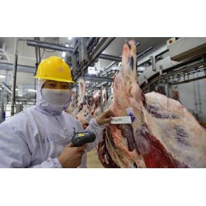 Beef Split Meat Production Line / Processing Line 100-300 Cattle Per Hour Speed