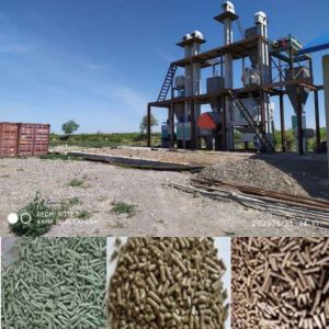 China Feed Processing Machines 2-18mm Ring Die Granulator Pellet Mill Pellet Making Animal Feed Pellet Machine Farm on sale