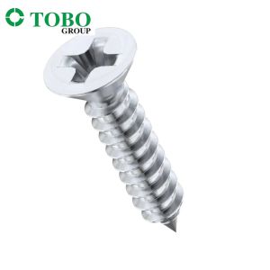 Stainless Steel Cross Recessed Raised Countersunk Head \ Countersunk Head \ Pan