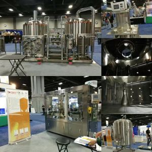 12Hl brewhouse woolrock Jacketed fermenter Microbrewery Equipment With