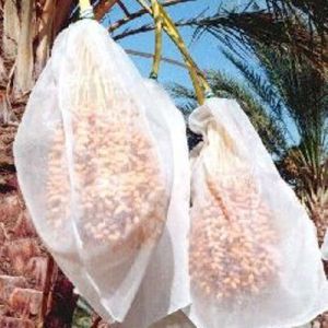 China Agriculture Mesh Harvest Bags With Strong Black Rope Durable Feature on sale