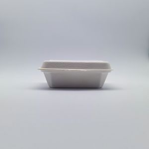 600ml Lunch Biodegradable Bagasse Tableware Disposable Takeaway Containers