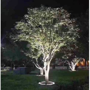 IP67 Arced Recessed LED Underground Light Single RGB RGBW DMX512 DALI Support