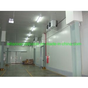Blood-Red Deep Freezer for Fish and Pork in Cold Storage Industrial PU/XPS