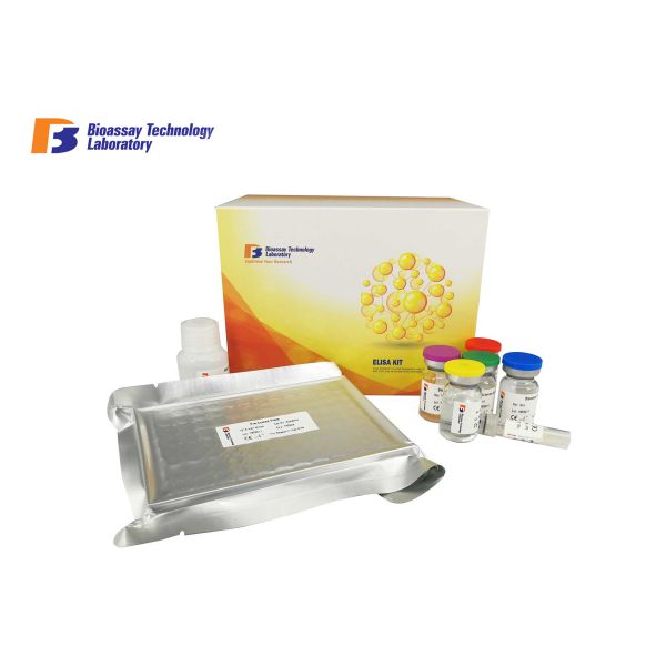 Buy 96 Wells Strong Sensitivity and Specificity Human Alkaline Phosphatase ELISA Kit at wholesale prices