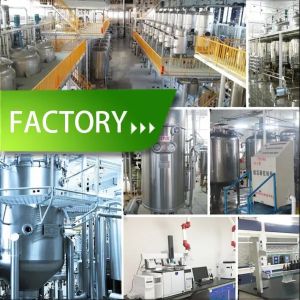 Wholesale Fat-reduced alkalized Ghana cocoa powder fat 10-12% For Beverage,