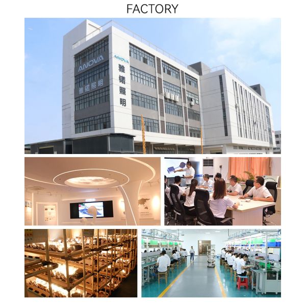 Black 20cm Cylinder Pendant Spotlight Surface Hanging Pendant Light