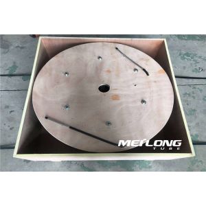 UNS S31603 Capillary Coiled Tubing Thermoplastic Encapsulation Material