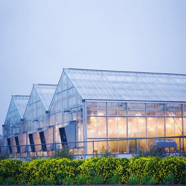Buy Galvanized 12mm Thickness Film Greenhouse Solar System at wholesale prices