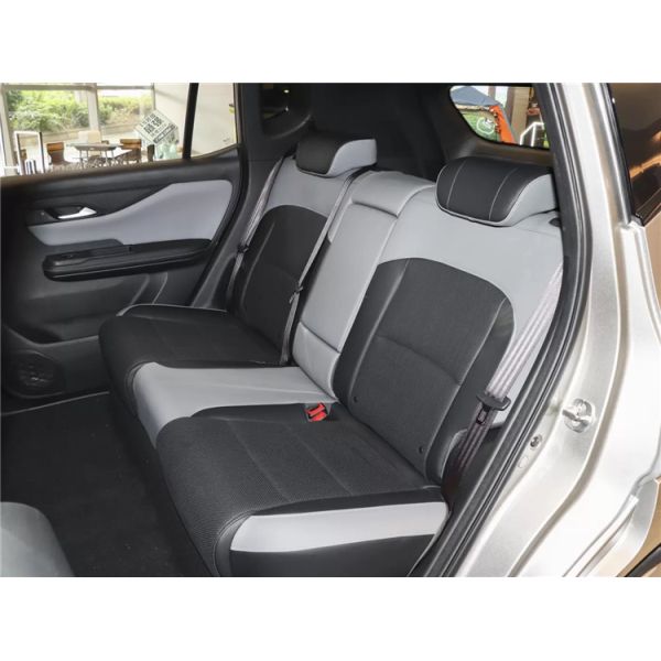 Professional HYCAN Z03 Luxury Electric Car Adult with Ternary Lithium Battery 5 Seating Capacity