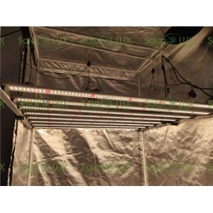 Lm301b Lm301h 650w G1 UL8800 Horticulture LED Grow Lights