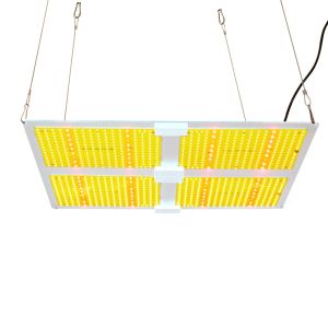 AC100V Horticulture Quantum Board