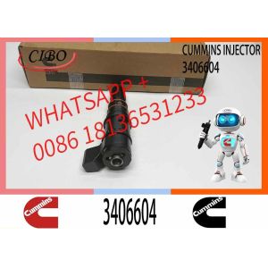 PT Fuel System Diesel Fuel Injector 3406604 For Cummins Construction Engine M11