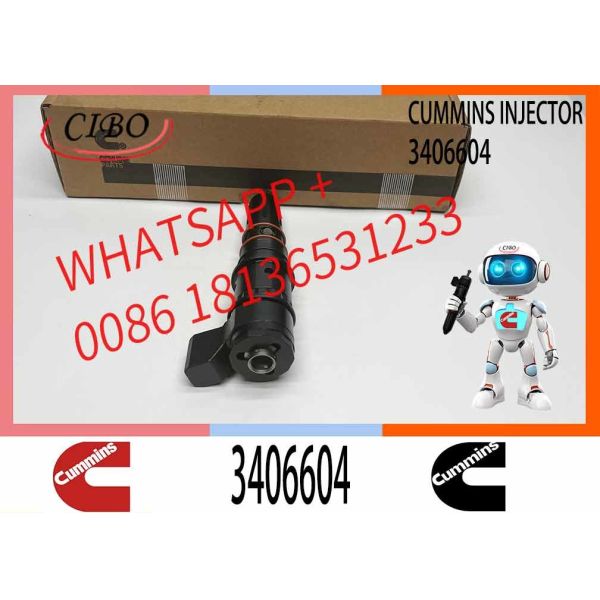 PT Fuel System Diesel Fuel Injector 3406604 For Cummins Construction Engine M11-C350 3