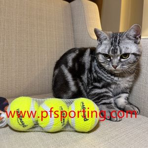 Squeaky Dog Toys Latex Squeak Dog Ball for Small Medium Pets Soft Rubber Bouncy