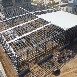 Custom Steel Structure Warehouse Q235B Q355B 50-Year Lifespan