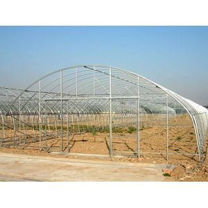 Film Cover Single Layer Agricultural Greenhouse for Sustainable Farming