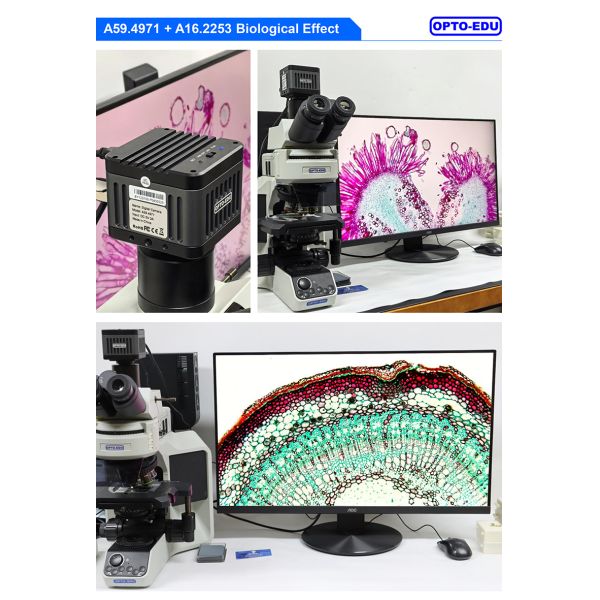 OPTO-EDU A59.4971 Auto Focus EDF 4K HDMI USB LAN Digital Microscope Camera 8.3M Flourescent