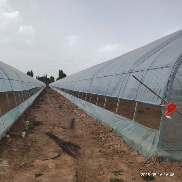 Arch Outdoor Chinese Tunnel Plastic Greenhouse Transparent For Cultivation