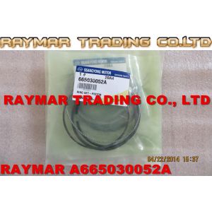 Piston Ring Set for SSANGYONG 665030052A, A665030052A
