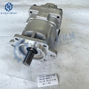 705-52-31180 705-52-21160 705-21-43000 Hydraulic Gear Pump fits for Komatsu Dump