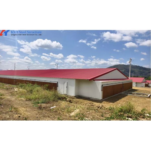 3 Tiers-10 Tiers Poultry Farm Cage Automatic Feeding Chicken House Cage