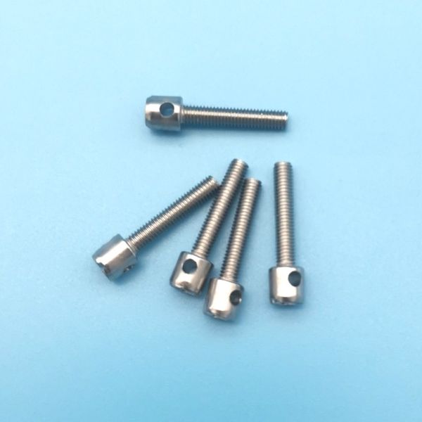 Electric Meter Screws