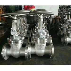 API 600 150LB CF8M Stainless Steel Flanged Gate Valve for Water Media Y Type