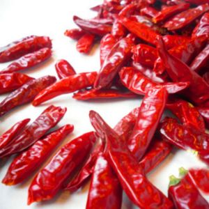 China Xinglong 100g Spicy Tianjin Dried Red Chilies Room Temperature on sale