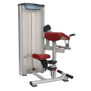 Commercial Gym Matrix Strength Training Equipment / Biceps Curl Machine