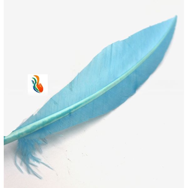 25-30cm Stripped Colored Turkey Feathers Quill Dyed For Decorative