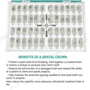 Kids Crown Primary Molar Crown For Primary Molars Professional Grade