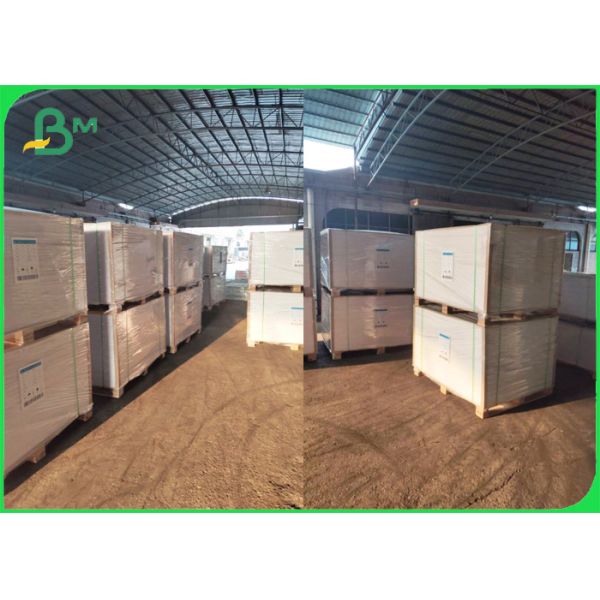 Kraft Take Out Containers Material Food Packaging Paperboard 300gsm