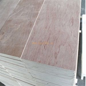 Hotel Bintangor Back 610*2440mm Green Panel Plywood