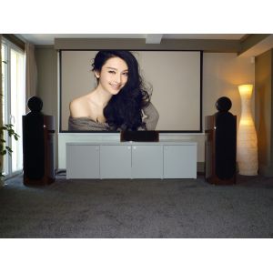 Motorised Projection Screens / electronic projection screen Motor