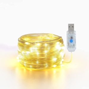 Quality Waterproof Warm White Firefly Lights For Indoor Decoration Dimmable Remote Control for sale
