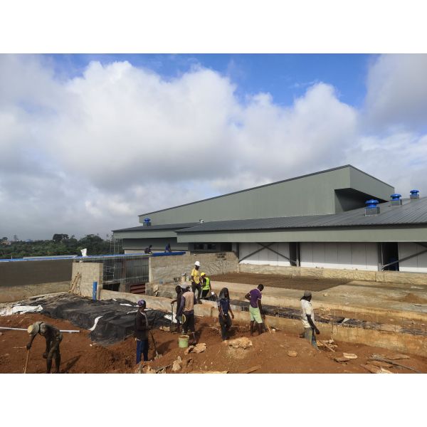 Innovative Industrial Steel Building For Modern And Sustainable Construction