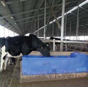 Buy Blue LLDPE Thermo Water Trough 115L 30Gal 225cm Length at wholesale prices