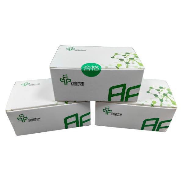 Buy Reaction Time 20mins Isothermal DNA Amplification Rapid Testing Kit at wholesale prices