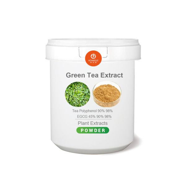 Buy Factory Supply EGCG Green Tea Extract With 98 Polyphenols at wholesale prices
