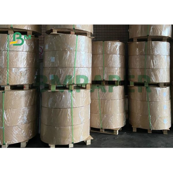 10PT 12PT C2S Cover Bright White 20x40inch For Brochures Printing