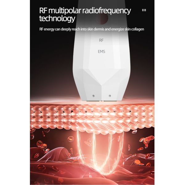 2021 Newest Facial Beauty Device Rf Ems Functions Portable Photon Multifunctional Beauty Device
