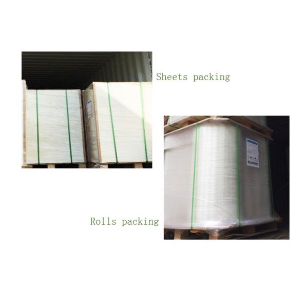 High Stiffness And Whiteness 180 Gsm - 450 Gsm Ivory Board Paper FSC Certified