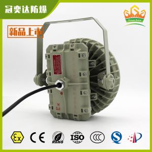 IP66 ATEX IECEx Explosion Proof LED Light Fixture | Anti-Explosion, Anti-Dust,