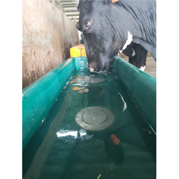 1.8m Large Plastic Water Trough Sheep Animal Husbandry Equipment